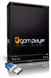 gom-player-2012